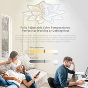 IRALAN Led Ceiling Light Dimmable Brightness Art Deco Lighting Fixtures Phone APP Control Cold Warm Light