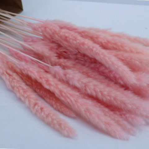 Dekoration Pampas Grass Phragmites Artificial Plants Wedding Flower Bunch for Home Boho  Decor  Small Reed Party Plantas Mothers