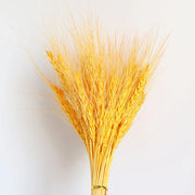 Plants Decorations Dried Flowers Wedding Accessories Artificial Plant Natural Dried Flower Pampas Grass Home Decor Boho Bouquet