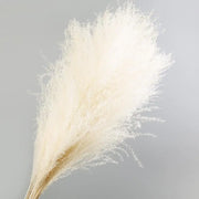 Plants Decorations Dried Flowers Wedding Accessories Artificial Plant Natural Dried Flower Pampas Grass Home Decor Boho Bouquet