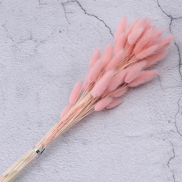 Plants Decorations Dried Flowers Wedding Accessories Artificial Plant Natural Dried Flower Pampas Grass Home Decor Boho Bouquet