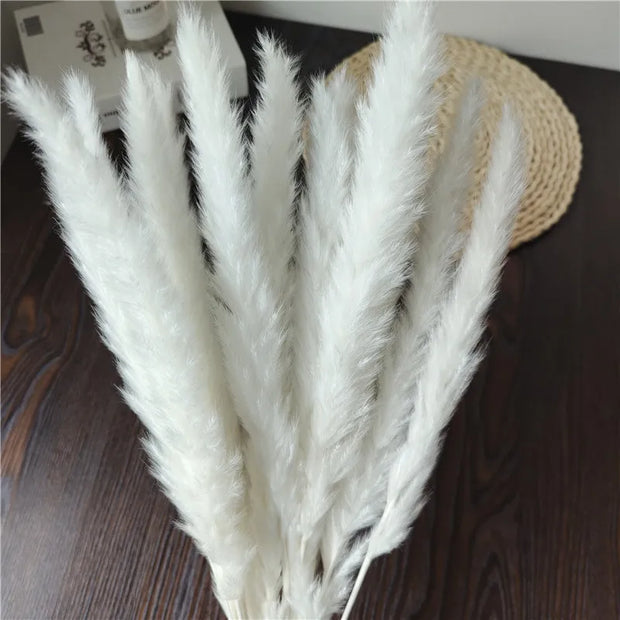 Plants Decorations Dried Flowers Wedding Accessories Artificial Plant Natural Dried Flower Pampas Grass Home Decor Boho Bouquet