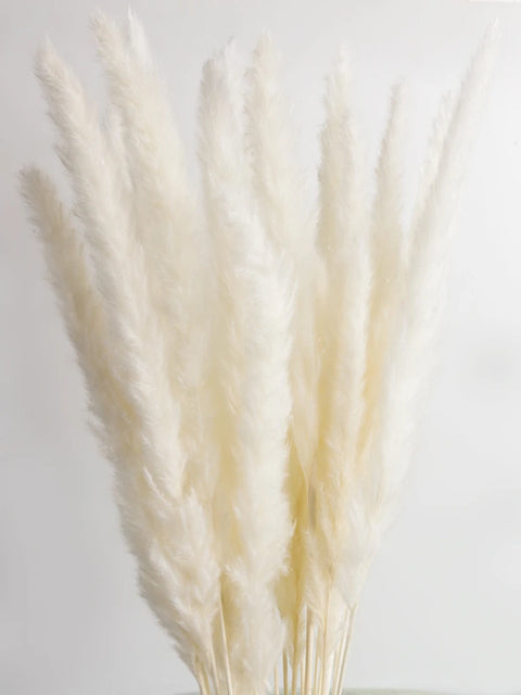 Dekoration Pampas Grass Phragmites Artificial Plants Wedding Flower Bunch for Home Boho  Decor  Small Reed Party Plantas Mothers