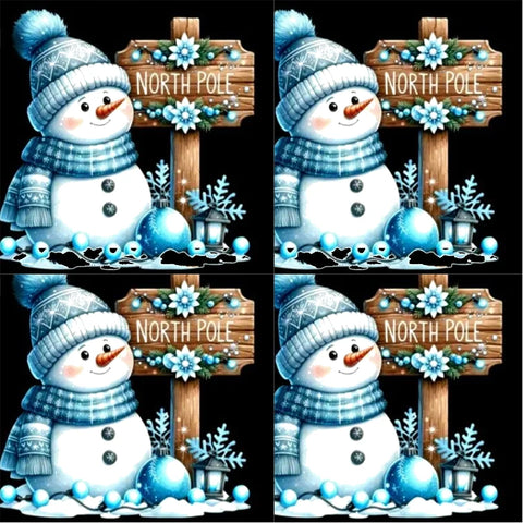 5D Diamond Painting Snowman Mosaic Embroidery Art Craft 30x30cm DIY Full Round Drill Home Decor