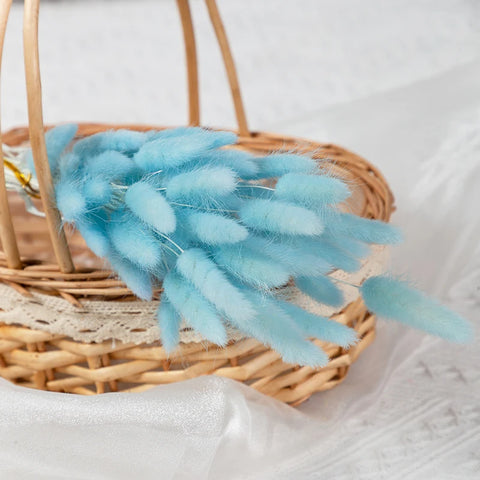 Natural Pampas Grass Dried Flower Rabbit Tail Grass Bouquet Floral Wedding Home Decorations Bunny Tail Plants Trockenblumen Vase