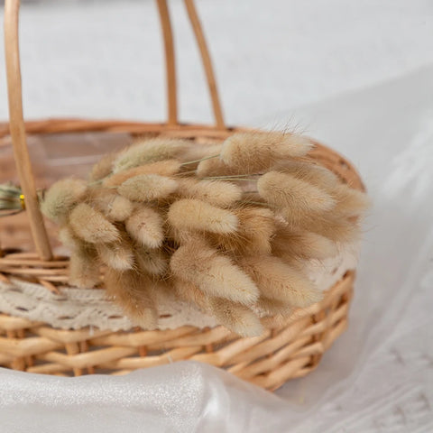 Natural Pampas Grass Dried Flower Rabbit Tail Grass Bouquet Floral Wedding Home Decorations Bunny Tail Plants Trockenblumen Vase