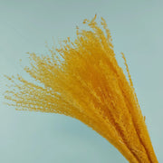 15Pcs Dried Small Pampas Grass Flowers Pantas Artificiales Para Decoracion Real Plants Home Decor Wedding Decoration