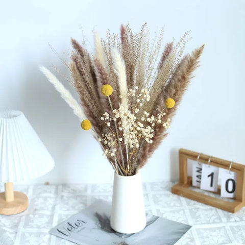 15Pcs Dried Small Pampas Grass Flowers Pantas Artificiales Para Decoracion Real Plants Home Decor Wedding Decoration