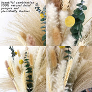 85Pcs Pampas Grass Boho Home Decor 8 Types Dried Plants with Fluffy Reed Pampas Eucalyptus Bunny Tail Wheat and Valentine's Gras