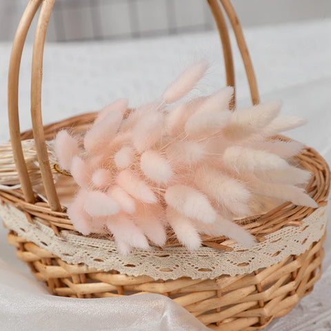 Natural Pampas Grass Dried Flower Rabbit Tail Grass Bouquet Floral Wedding Home Decorations Bunny Tail Plants Trockenblumen Vase