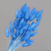 15Pcs Dried Small Pampas Grass Flowers Pantas Artificiales Para Decoracion Real Plants Home Decor Wedding Decoration