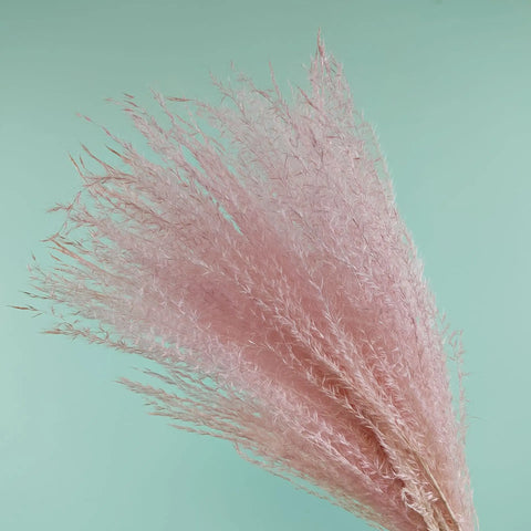 15Pcs Dried Small Pampas Grass Flowers Pantas Artificiales Para Decoracion Real Plants Home Decor Wedding Decoration