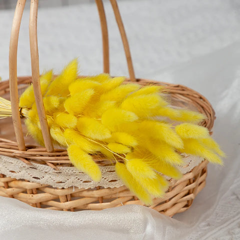 Natural Pampas Grass Dried Flower Rabbit Tail Grass Bouquet Floral Wedding Home Decorations Bunny Tail Plants Trockenblumen Vase