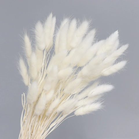 15Pcs Dried Small Pampas Grass Flowers Pantas Artificiales Para Decoracion Real Plants Home Decor Wedding Decoration