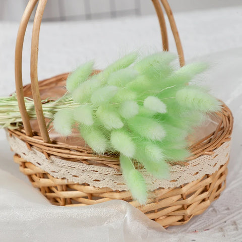 Natural Pampas Grass Dried Flower Rabbit Tail Grass Bouquet Floral Wedding Home Decorations Bunny Tail Plants Trockenblumen Vase