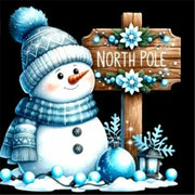 5D Diamond Painting Snowman Mosaic Embroidery Art Craft 30x30cm DIY Full Round Drill Home Decor
