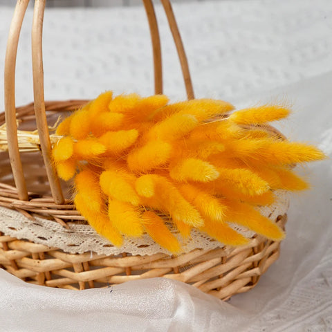 Natural Pampas Grass Dried Flower Rabbit Tail Grass Bouquet Floral Wedding Home Decorations Bunny Tail Plants Trockenblumen Vase