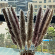 Dekoration New Natural Reed Dried Flowers Pampas Grass Home Wedding Decoration European And American Style Furry Dry Plants