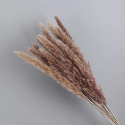 15Pcs Dried Small Pampas Grass Flowers Pantas Artificiales Para Decoracion Real Plants Home Decor Wedding Decoration