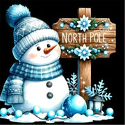 5D Diamond Painting Snowman Mosaic Embroidery Art Craft 30x30cm DIY Full Round Drill Home Decor