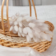 Natural Pampas Grass Dried Flower Rabbit Tail Grass Bouquet Floral Wedding Home Decorations Bunny Tail Plants Trockenblumen Vase